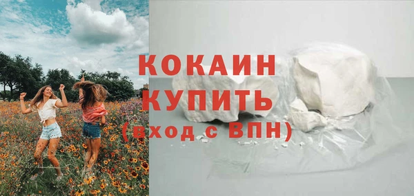 твердый Абаза