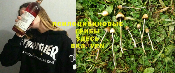 дурь Абдулино