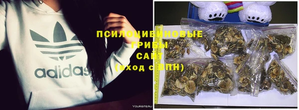 дурь Абдулино